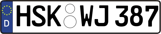 HSK-WJ387