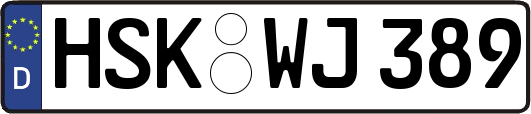 HSK-WJ389