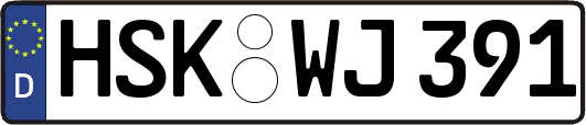 HSK-WJ391