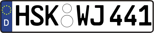 HSK-WJ441