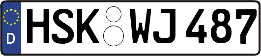 HSK-WJ487