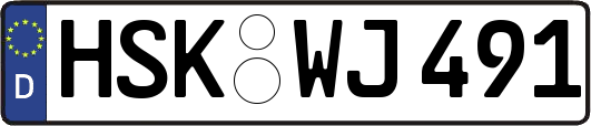 HSK-WJ491
