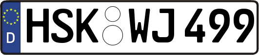 HSK-WJ499
