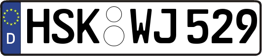 HSK-WJ529