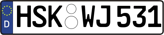 HSK-WJ531