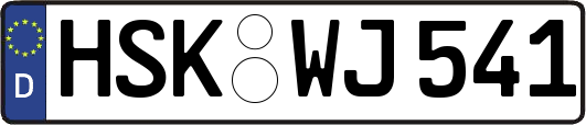 HSK-WJ541