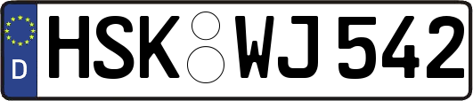 HSK-WJ542