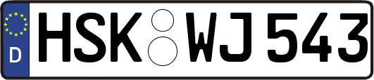 HSK-WJ543