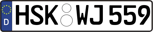 HSK-WJ559