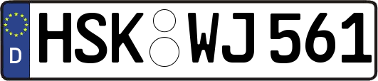 HSK-WJ561