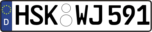 HSK-WJ591