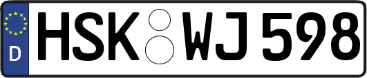 HSK-WJ598