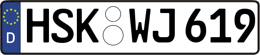 HSK-WJ619