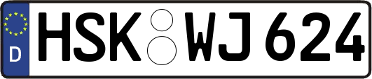 HSK-WJ624