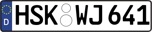 HSK-WJ641