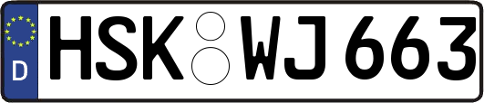 HSK-WJ663