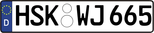 HSK-WJ665