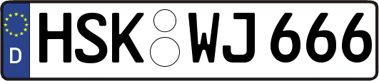 HSK-WJ666