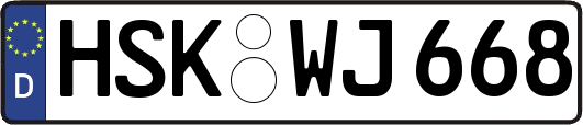 HSK-WJ668