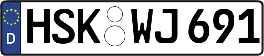 HSK-WJ691