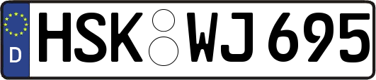 HSK-WJ695