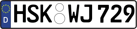 HSK-WJ729