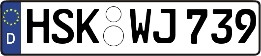 HSK-WJ739
