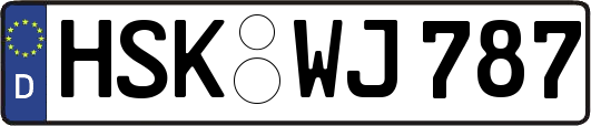 HSK-WJ787