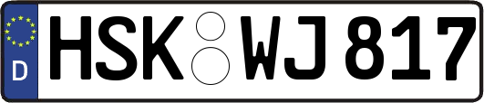 HSK-WJ817