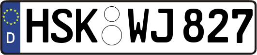 HSK-WJ827