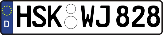 HSK-WJ828