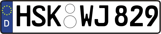 HSK-WJ829