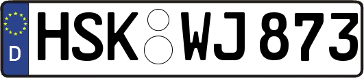 HSK-WJ873
