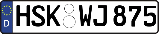 HSK-WJ875