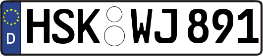 HSK-WJ891