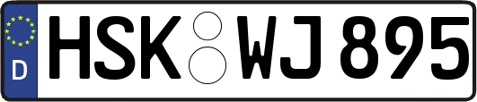HSK-WJ895