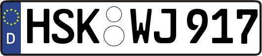 HSK-WJ917