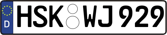 HSK-WJ929