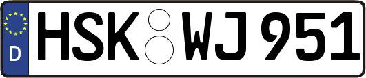 HSK-WJ951