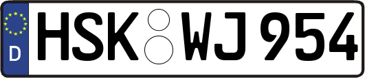 HSK-WJ954