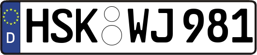 HSK-WJ981