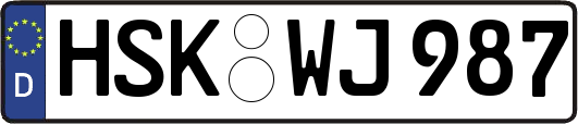 HSK-WJ987
