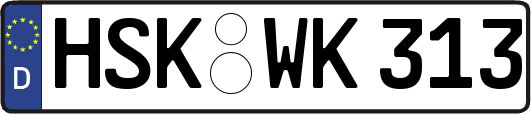 HSK-WK313