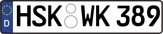 HSK-WK389