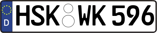 HSK-WK596