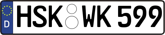 HSK-WK599