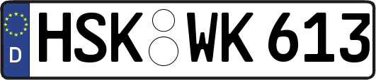 HSK-WK613