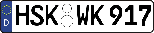 HSK-WK917