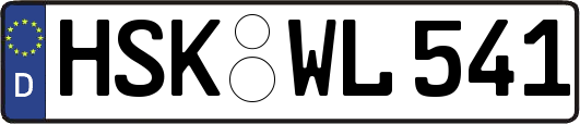 HSK-WL541