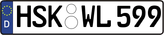 HSK-WL599
